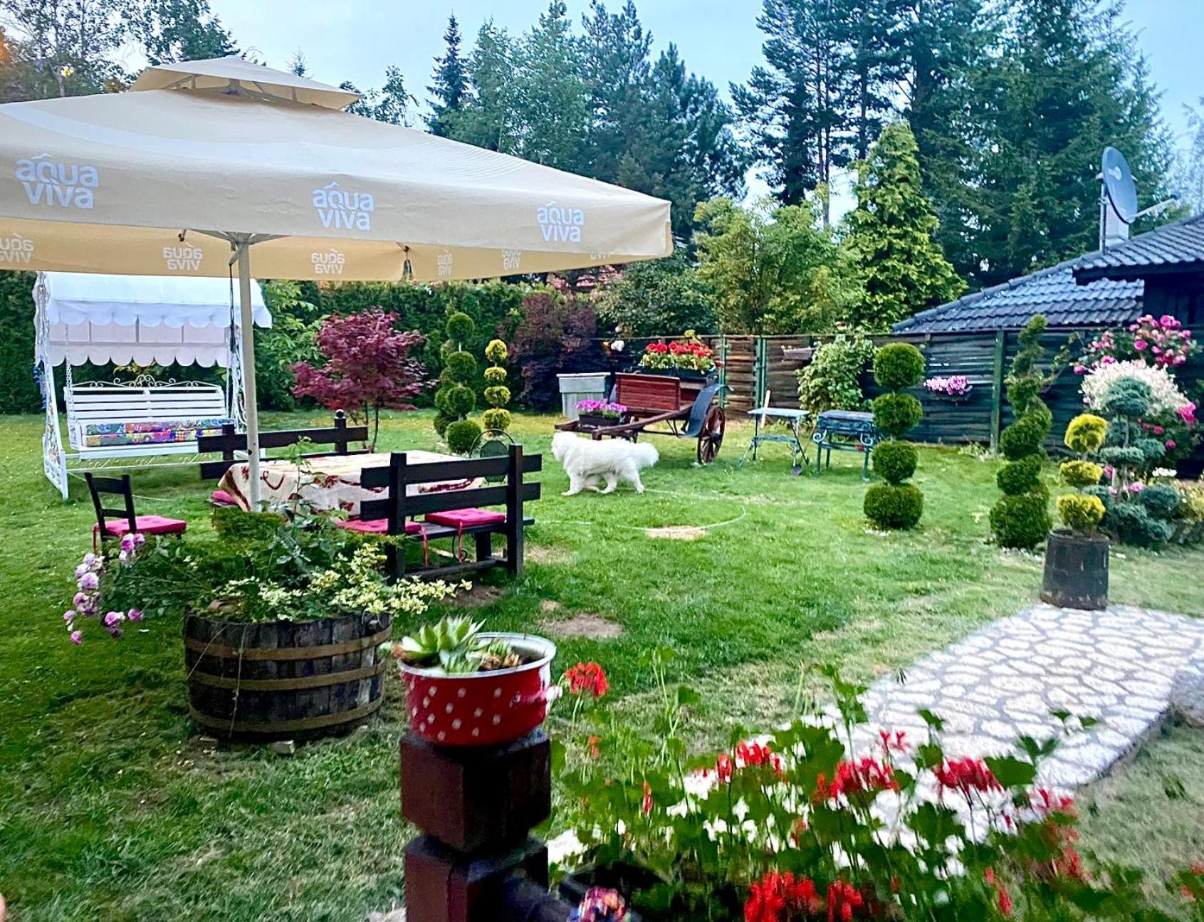 Villa Miris Dunja Zlatibor Zewnętrze zdjęcie