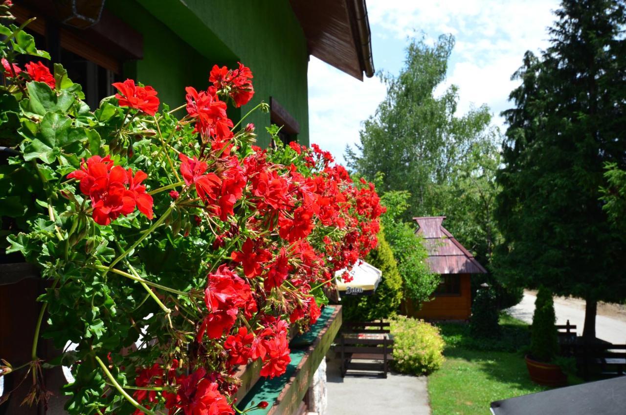 Villa Miris Dunja Zlatibor Zewnętrze zdjęcie